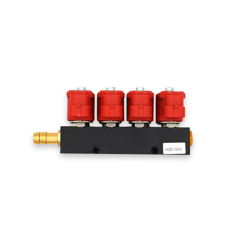 3-Ohm 4-cylinder CNG Rail Injector for Autogas Conversion Kit 